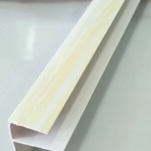 F PINO                                          X40